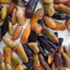 Ice Cream Bean seeds