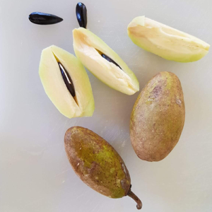 Manilkara-Zapota-Sapotille-fruit-and-seeds