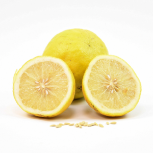 Ponderosa Lemon.