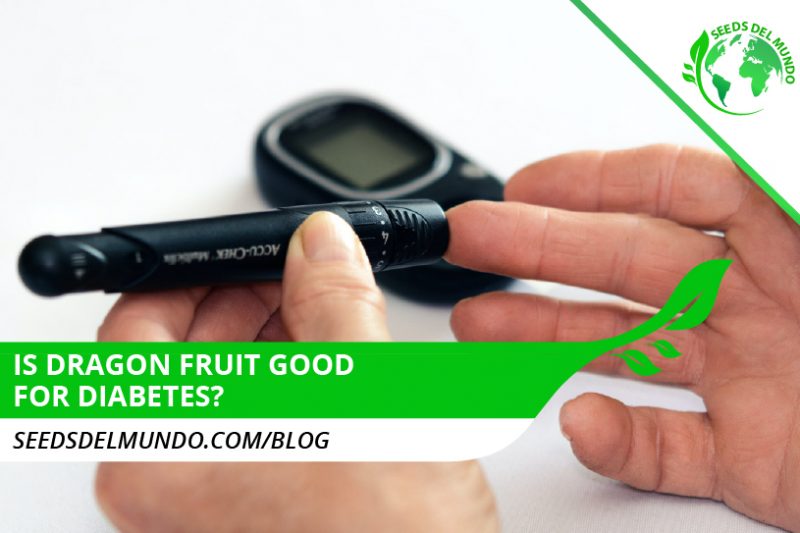 dragon-fruit-good-for-diabetes
