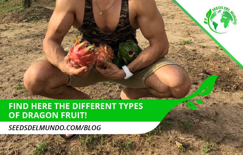 types of dragon fruit