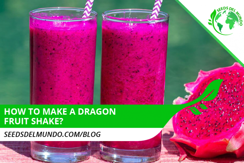 dragon fruit shake
