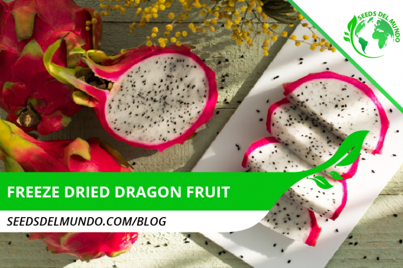 freeze dried dragon fruit
