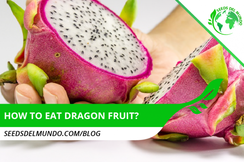 how to eat dragon fruit