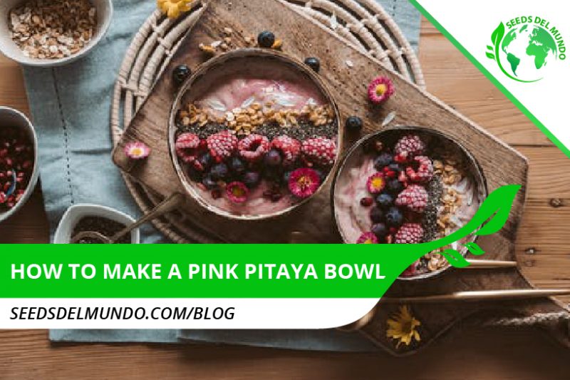 How to make a pink pitaya bowl