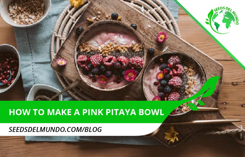 How to make a pink pitaya bowl