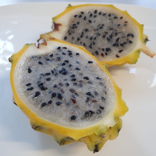 Yellow Dragon Fruit Seeds