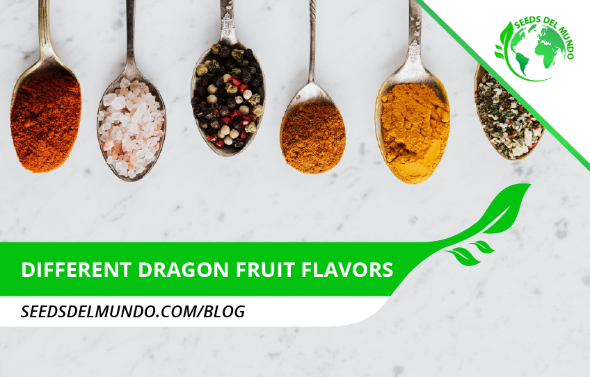 different dragon fruit flavors