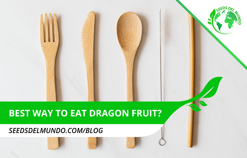 Best way to eat dragon fruit