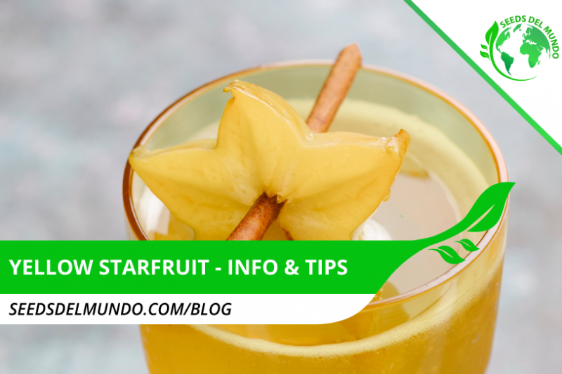 Yellow-Starfruit