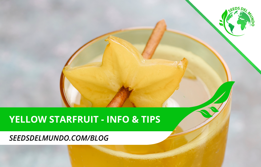 Yellow-Starfruit