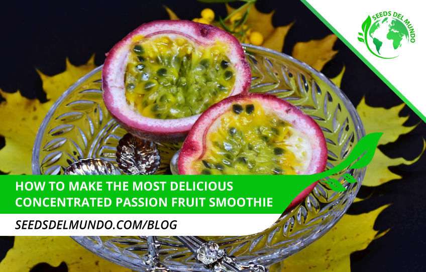 Concentrated-passion-fruit-juice-smoothie