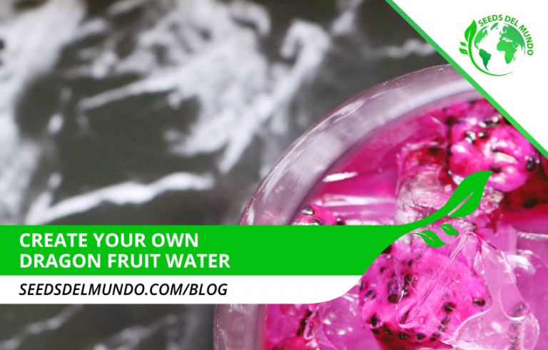 Create Your Own Dragon Fruit Water recipe Seeds Del Mundo