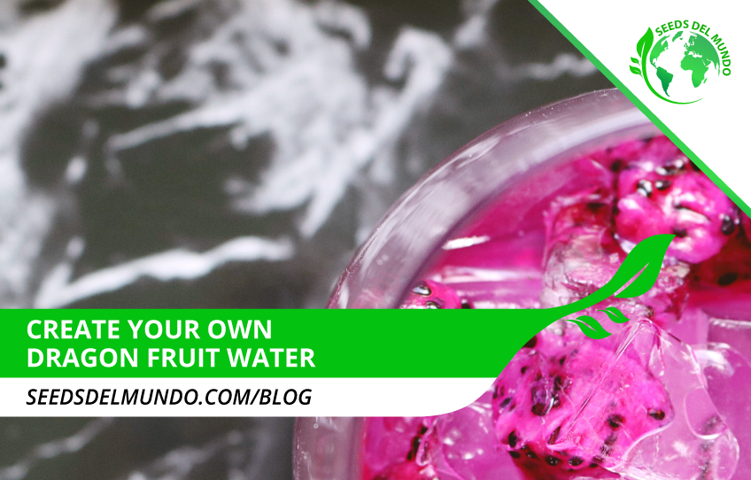 Create-your-own-dragon-fruit-water