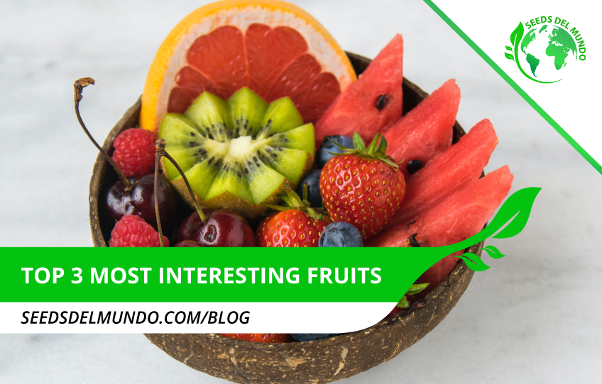 Top-3-most-interesting-fruits-