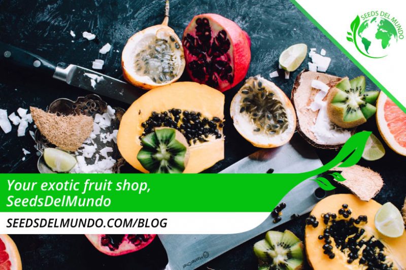 your exotic-fruit-shop-SDM