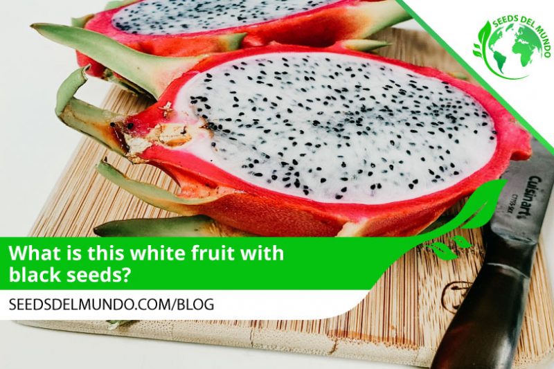 white-fruit-with-black-seeds